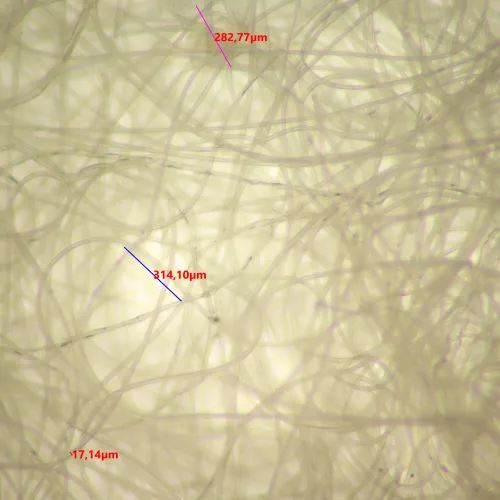 a képen:  MAGUS Stereo 9T sztereomikroszkóp,  20