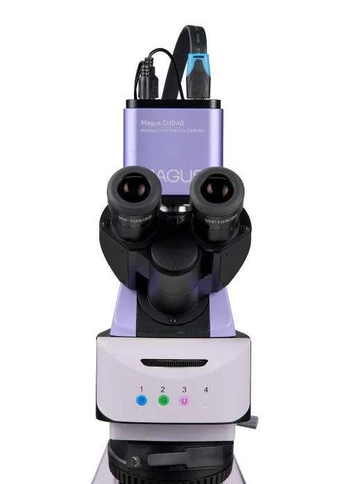 a fotón:  MAGUS Lum D460L LCD fluoreszcens digitális mikroszkóp,  11