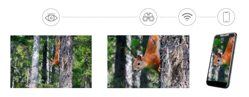 a fotón:  Levenhuk Kelvin Snap ED 8x42 digitális kétszemes fotótávcső,  8