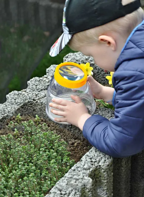 a fotón:  Bresser National Geographic 5x XXL rovarmegfigyelő doboz,  6