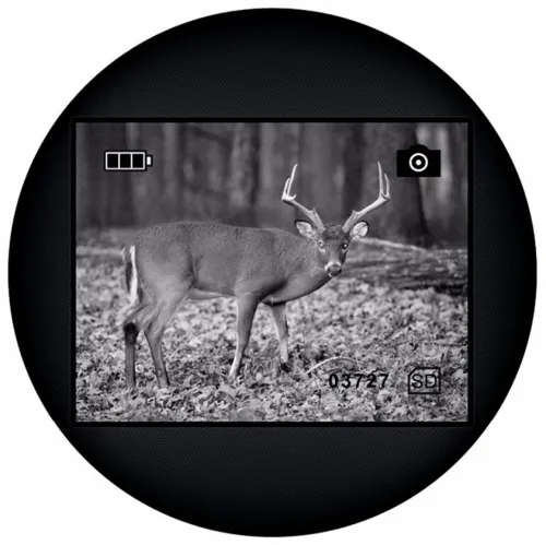 a fotón:  Levenhuk Atom Digital DNM200 éjjellátó egyszemes távcső,  13