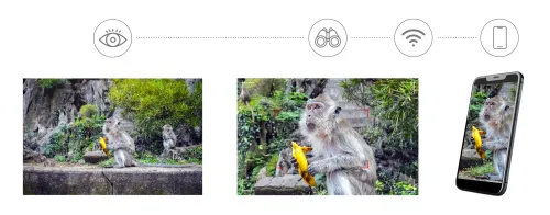 a fotón:  Levenhuk Kelvin Snap ED 8x42 digitális kétszemes fotótávcső,  9