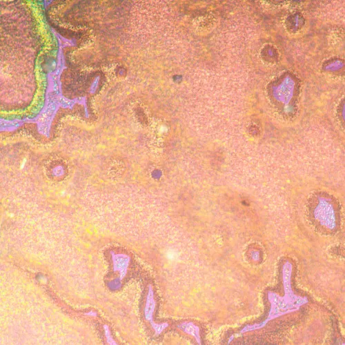 a képen:  MAGUS Metal V790 DIC metallográfiai fordított mikroszkóp,  22