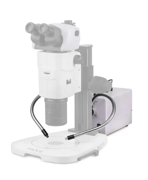 a fényképen:  MAGUS CLI18T hideg fény kettős fényvezetővel,  4