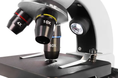 a fotón:  Levenhuk Discovery Nano Polar digitális mikroszkóp és könyv,  10