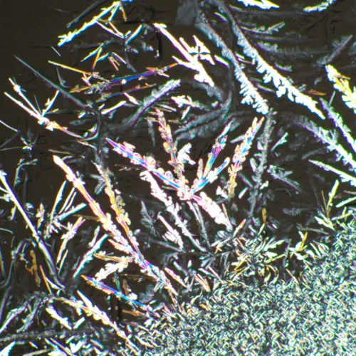 a fotón:  MAGUS SPD1 polarizátor/analizátor készlet,  6