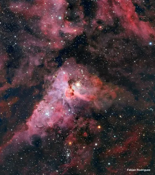 a fényképen:  Meade 12"-os, F/8-as továbbfejlesztett kómahibamentes optikai tubusszerelvény,  8