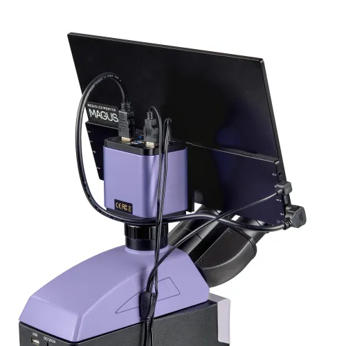 a fotón:  MAGUS Lum D460L LCD fluoreszcens digitális mikroszkóp,  23