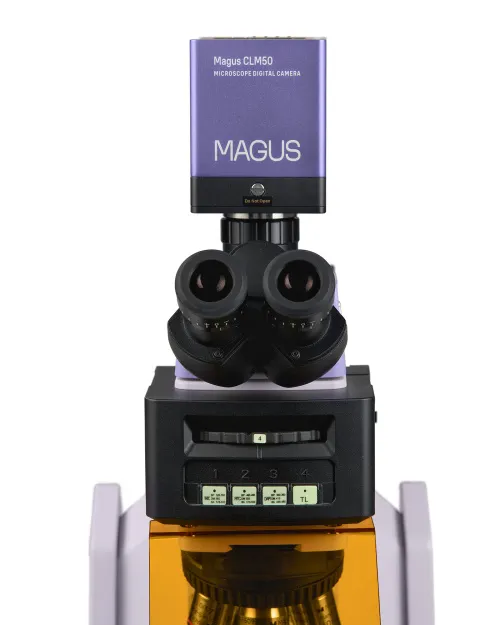 a fotón:  MAGUS Lum D470L fluoreszcens digitális mikroszkóp,  11