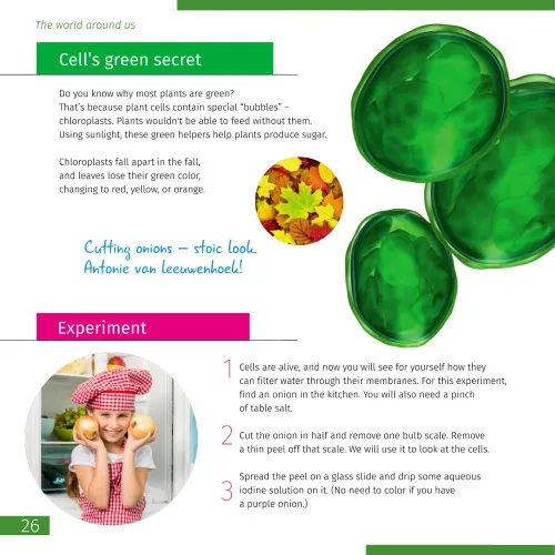 a képen:  Levenhuk Discovery Atto Polar mikroszkóp és könyv,  5