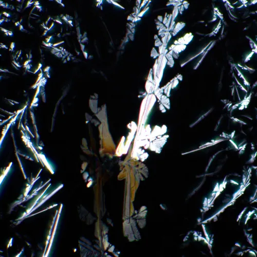 a fotón:  MAGUS SPD1 polarizátor/analizátor készlet,  7