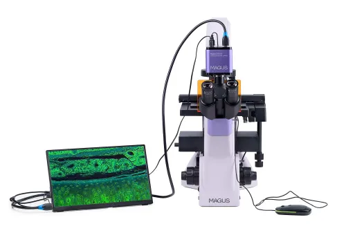a fotón:  MAGUS Lum VD500L LCD fluoreszcens fordított digitális mikroszkóp,  6