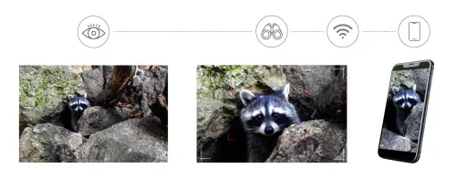 a fotón:  Levenhuk Kelvin Snap ED 8x42 digitális kétszemes fotótávcső,  6