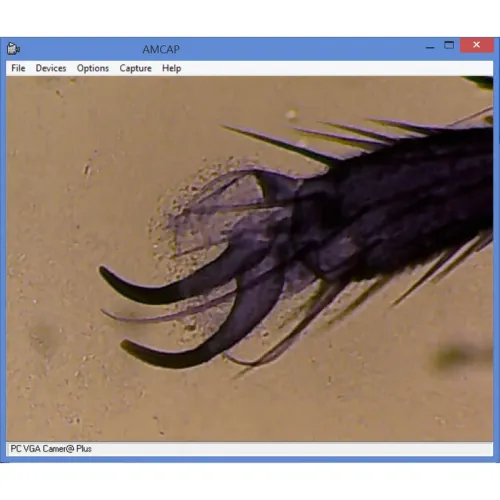 a fotón:  Omegon MonoView MicroStar 1280x LED mikroszkóp,  4