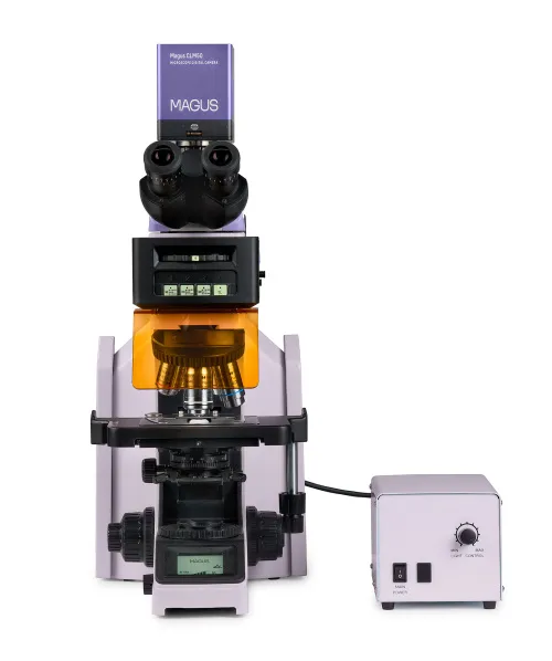 a fotón:  MAGUS Lum D470L fluoreszcens digitális mikroszkóp,  9