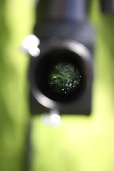 Comparative review of Levenhuk Skyline PRO telescopes: 80 MAK and 105 MAK